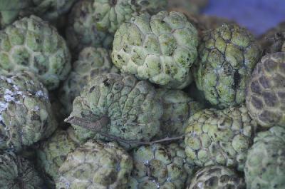 Celui plein de grumes et de pépins