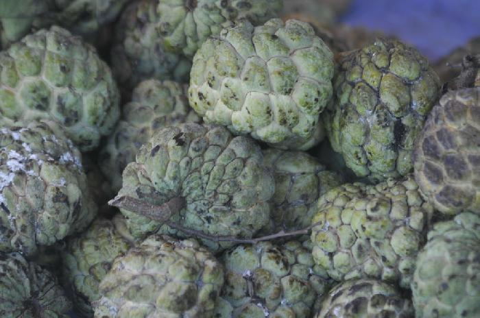 Fruits