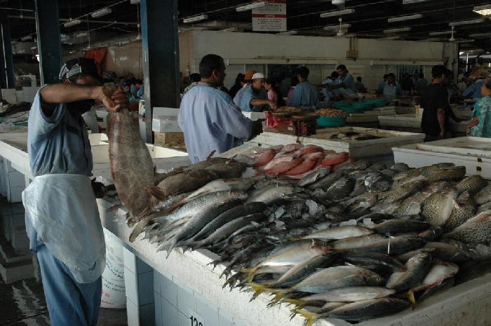 Dubai march aux poissons
