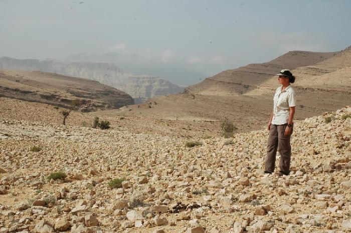 Selma plateau sur la montagne Hajar